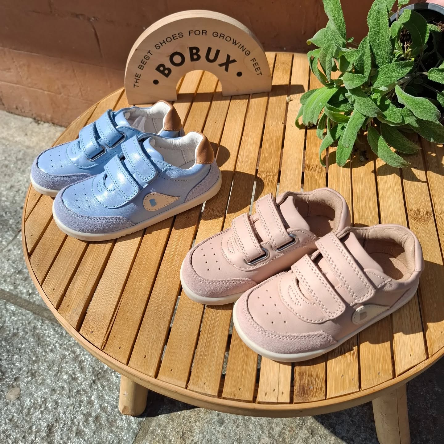 Bobux sneakers